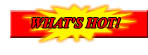 New and value-priced items at Diecast City